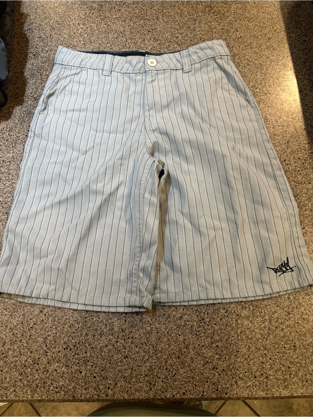 Rusty Pinstripe Boys Shorts
